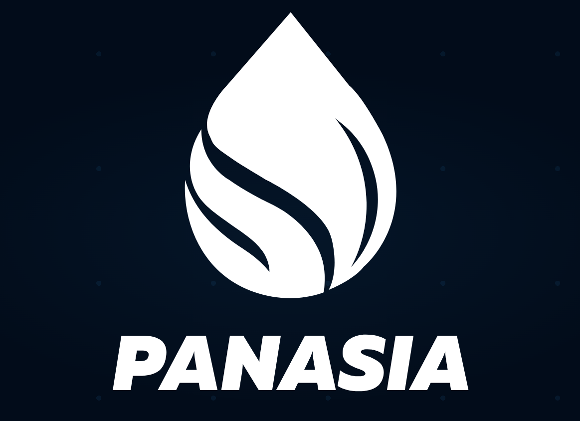 Panaisa Group